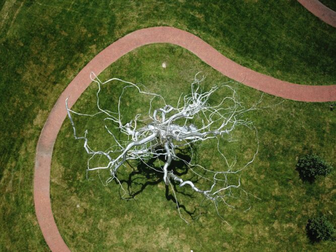 top view of a neuron sculpture in the lawn